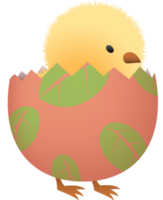 Chick in broken Easter egg with leaf lower part png