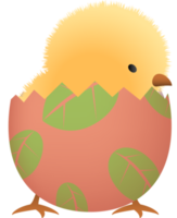 Chick in broken Easter egg with leaf lower part png