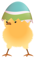 Chick in broken Easter egg with stripe upper part png