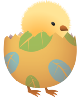 Chick in broken Easter egg with leaf lower part png