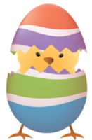 Chick in broken Easter egg with stripe png