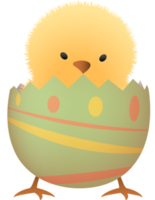 Küken im gebrochen Ostern Ei mit Linie niedriger Teil png