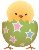 Chick in broken Easter egg with star lower part png