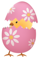 Chick in broken Easter egg with flower png