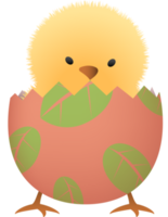 Chick in broken Easter egg with leaf lower part png