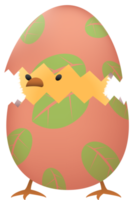 Chick in broken Easter egg with leaf png