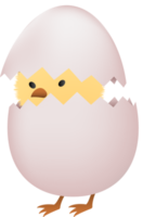 Chick in broken white egg png