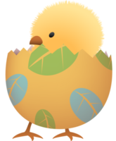 Chick in broken Easter egg with leaf lower part png