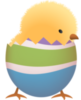 Chick in broken Easter egg with stripe lower part png