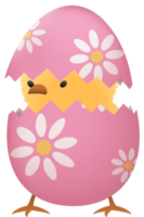 Chick in broken Easter egg with flower png