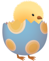 Chick in broken Easter egg with oval lower part png