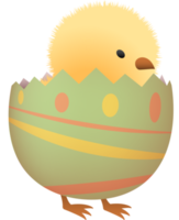 Chick in broken Easter egg with line lower part png