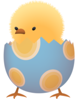 Chick in broken Easter egg with oval lower part png