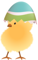 Chick in broken Easter egg with stripe upper part png