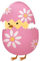 Chick in broken Easter egg with flower png