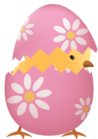 Chick in broken Easter egg with flower png