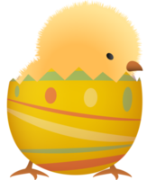 Küken im gebrochen Ostern Ei mit Linie niedriger Teil png