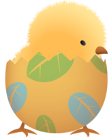 polluelo en roto Pascua de Resurrección huevo con hoja inferior parte png