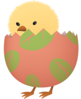 Chick in broken Easter egg with leaf lower part png