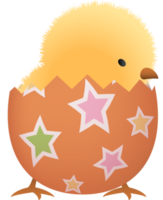 pulcino nel rotto Pasqua uovo con stella inferiore parte png