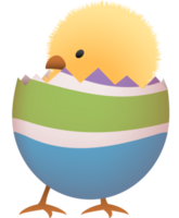 Chick in broken Easter egg with stripe lower part png
