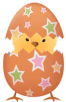 Chick in broken Easter egg with star png