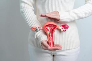 mujer sosteniendo modelo de útero y ovarios. cáncer de ovario y de cuello uterino, trastorno del cuello uterino, endometriosis, histerectomía, fibromas uterinos, sistema reproductivo y concepto de embarazo foto