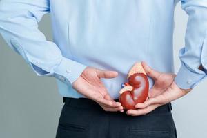 Man holding Anatomical human kidney Adrenal gland model. disease of Urinary system and Stones, Cancer, world kidney day, Chronic kidney and Organ Donor Day concept photo