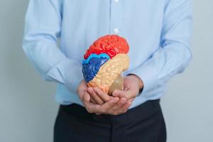 man holding human Brain model. World Brain Tumor day, Brain Stroke, Dementia, alzheimer, parkinson and world mental health concept photo