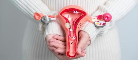 Woman holding Uterus and Ovaries model. Ovarian and Cervical cancer, Cervix disorder, Endometriosis, Hysterectomy, Uterine fibroids, Reproductive system and Pregnancy concept photo