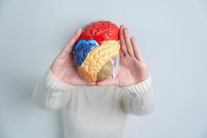 Woman holding human Brain model. World Brain Tumor day, Brain Stroke, Dementia, alzheimer, parkinson and world mental health concept photo