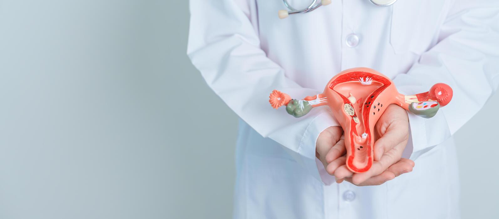 Ovarian Stock Photos, Images and Backgrounds for Free Download