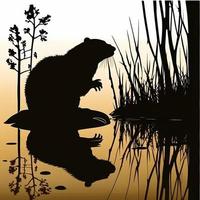 beaver silhouette AI Generated photo