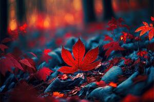 Red autumn leaves on the ground in the forest. photo