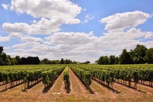 Scenic rural landscape photo