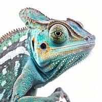 chameleon  illustration AI Generated photo