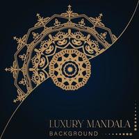 Creative Luxury Decorative Mandala vector