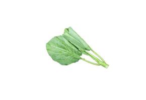 Chinese kale fresh vegetable  isolated  on white background and clipping path photo