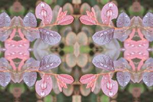 Water drop of on leaves beautiful seamless concept  pattern for background photo