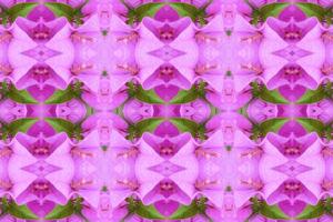flower beautiful  seamless pattern  abstract simple background photo