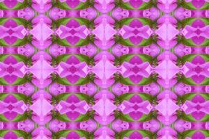 flower beautiful  seamless pattern  abstract simple background photo