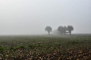 Scenic rural landscape photo