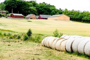 Scenic rural landscape photo