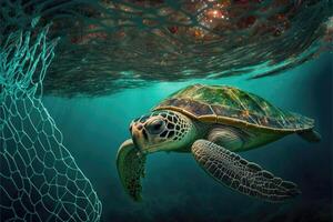 Sea turtle trapped by a net under the sea. photo