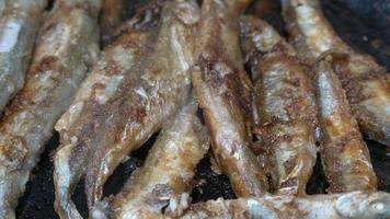 Nahansicht Aussicht von Kochen braten Lodde Fisch im Eisen Pfanne. gegrillt Kaplin Fisch - - ungesund asiatisch Essen wo ganz Fisch, von Kopf zu Schwanz, Rogen und Knochen können Sein genossen wie ein Vorspeise oder Garnierung. video