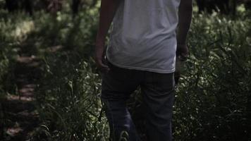 lento movimiento, Adolescente chico, joven hombre caminando en bosque video