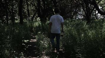 joven hombre caminando en bosque árboles, bosque video