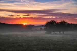 Sunrise over a neighboring forest with meadow in the foreground. Pasture landscape photo