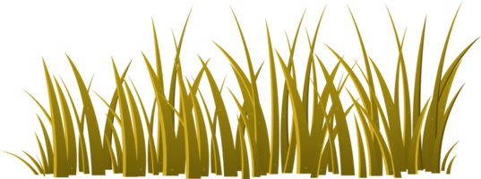 Cartoon grass leaves clip art png