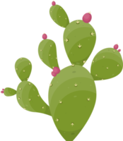 Cartoon desert cactus plant png